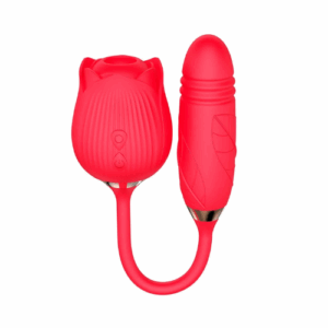 Vibrador Duplo com 10 Modos de Vibração, Pulsação e Vai e Vem